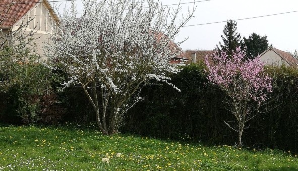 Logement tudiant Studio à Dreux (28100)