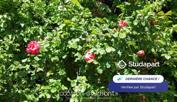 Logement �tudiant Studio &agrave; Ferri�res en Brie (77164)