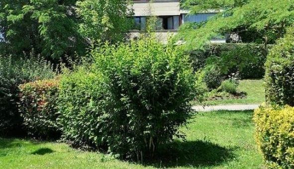 Logement �tudiant Studio &agrave; Fontenay le Fleury (78330)