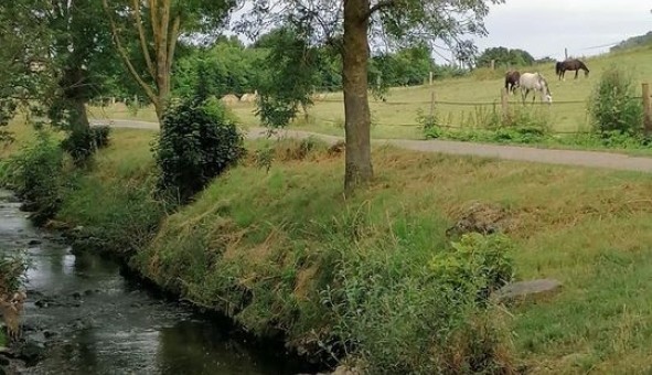 Logement �tudiant Studio &agrave; Fontenay le Fleury (78330)