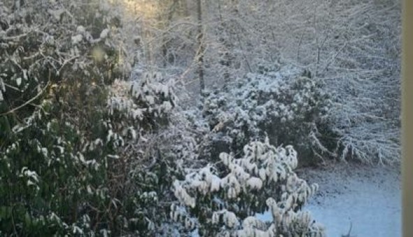 Logement �tudiant Studio &agrave; Gometz la Ville (91400)