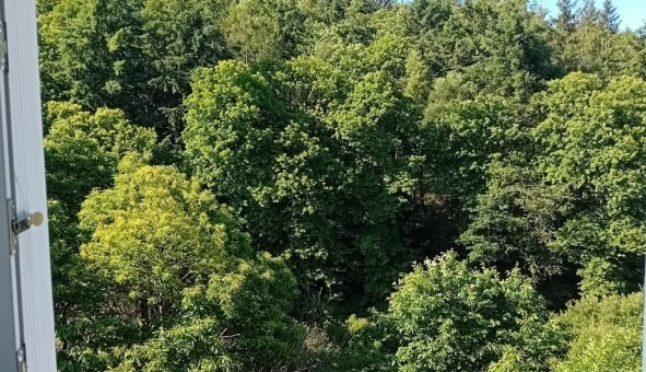 Logement tudiant Studio à Gourlizon (29710)