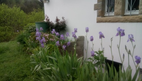 Logement tudiant Studio à Gourlizon (29710)