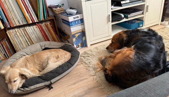 Logement tudiant Studio à Gradignan (33170)