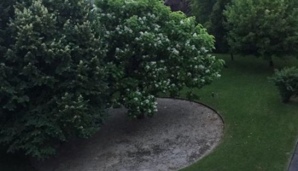 Logement �tudiant Studio &agrave; Grenoble (38000)