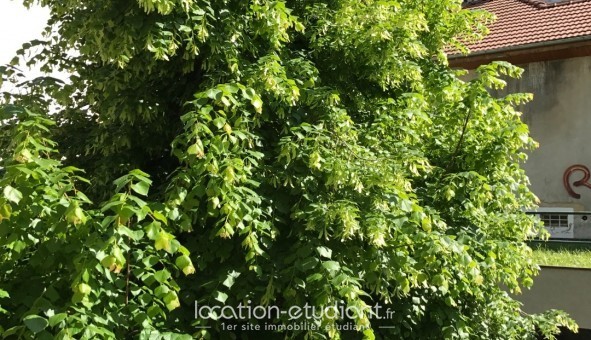 Logement �tudiant Studio &agrave; Grenoble (38000)