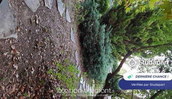 Logement �tudiant Studio &agrave; Juign� sur Loire (49610)