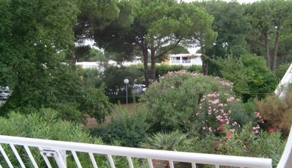 Logement tudiant Studio à La Grande Motte (34280)