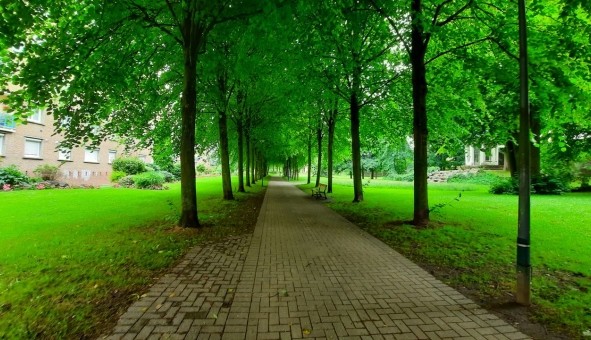 Logement �tudiant Studio &agrave; La Madeleine (59110)