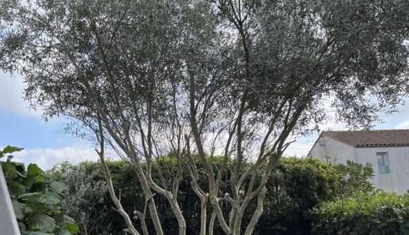 Logement �tudiant Studio &agrave; La Rochelle (17000)