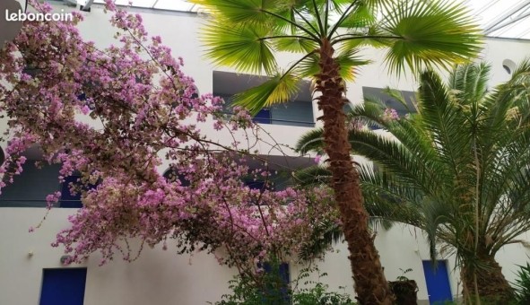 Logement �tudiant Studio &agrave; La Rochelle (17000)