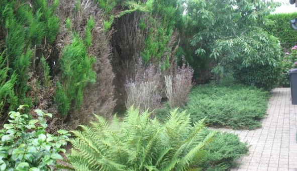 Logement �tudiant Studio &agrave; Laval (53000)