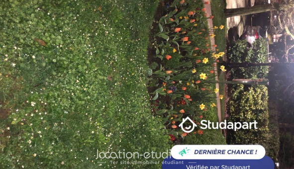 Logement tudiant Studio à Le Chesnay (78150)