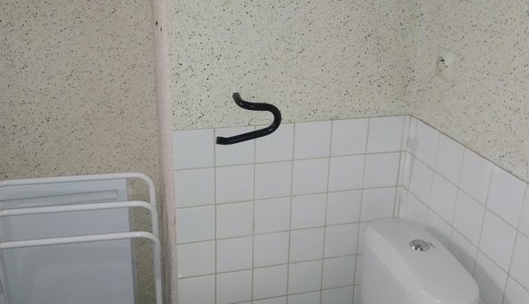 Logement tudiant Studio à Lille (59800)