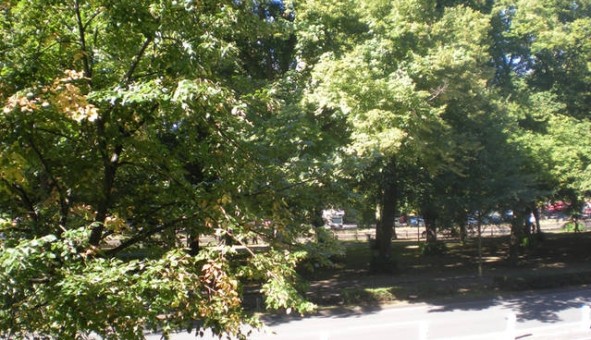 Logement �tudiant Studio &agrave; Lille (59800)