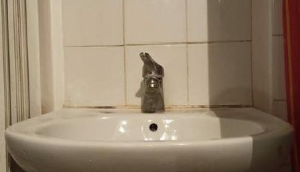 Logement �tudiant Studio &agrave; Lille (59800)