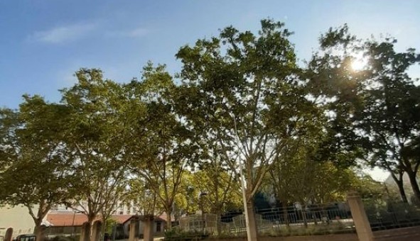 Logement �tudiant Studio &agrave; Lyon 3�me arrondissement (69003)