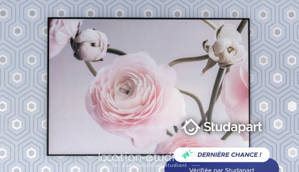 Logement �tudiant Studio &agrave; Lyon 6�me arrondissement (69006)