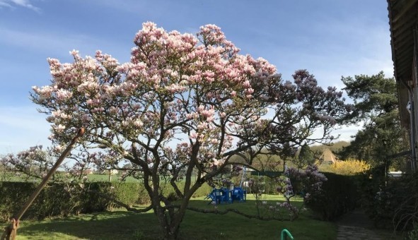 Logement tudiant Studio à Magny les Hameaux (78114)