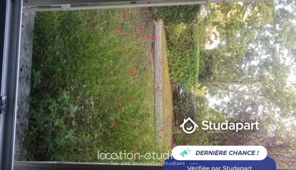 Logement tudiant Studio à Maisons Laffitte (78600)