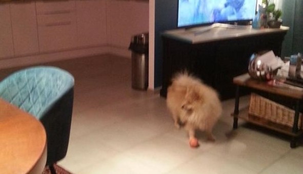 Logement �tudiant Location Studio Vide Marignane (13700)