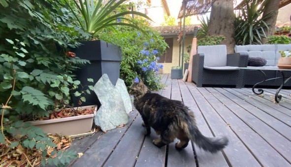 Logement �tudiant Studio &agrave; Marseille 06�me arrondissement (13006)