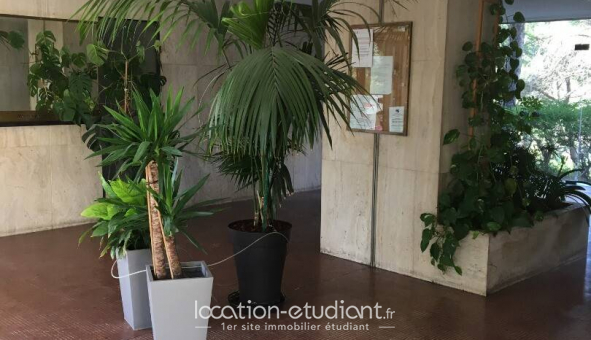 Logement tudiant Studio à Marseille 09me arrondissement (13009)