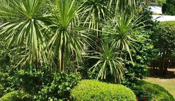 Logement �tudiant Studio &agrave; Marseille 09�me arrondissement (13009)