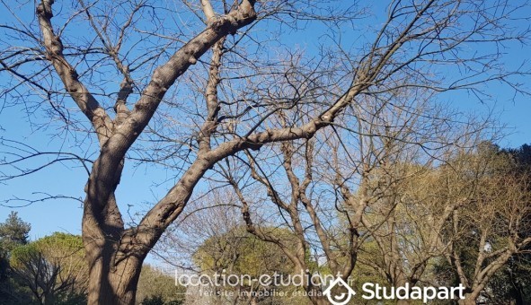 Logement �tudiant Studio &agrave; Marseille 09�me arrondissement (13009)