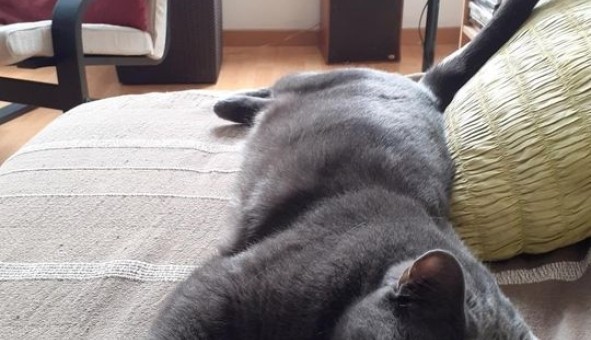 Logement �tudiant Studio &agrave; Massy (91300)