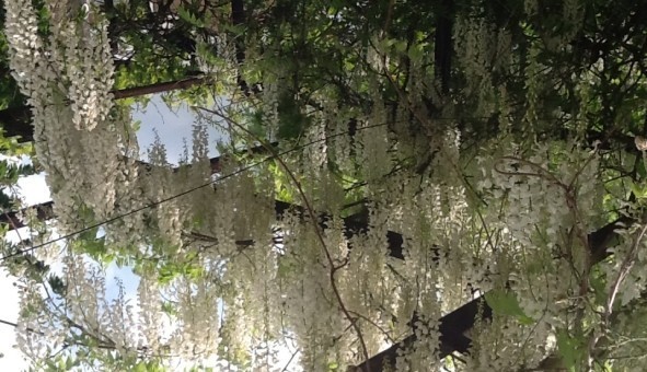 Logement �tudiant Location Studio Vide Montigny l�s Metz (57158)