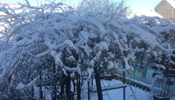 Logement �tudiant Studio &agrave; Montigny l�s Metz (57158)