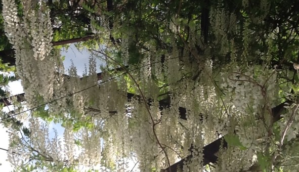 Logement �tudiant Studio &agrave; Montigny l�s Metz (57158)