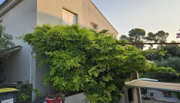 Logement tudiant Location Studio Vide Montpellier (34080)