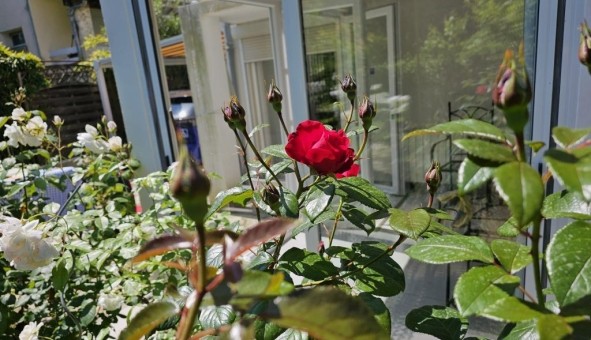 Logement tudiant Studio à Montpellier (34080)