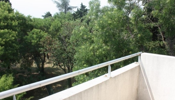 Logement �tudiant Studio &agrave; Montpellier (34080)