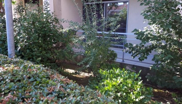 Logement �tudiant Studio &agrave; Montpellier (34080)