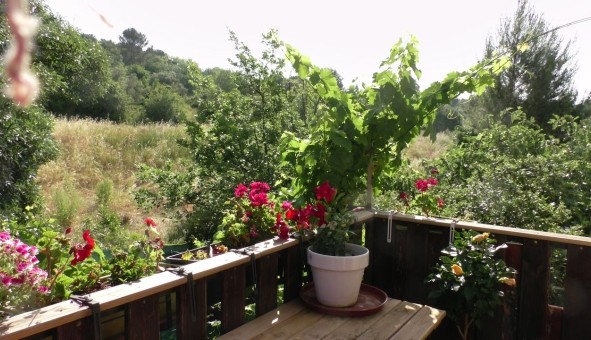 Logement �tudiant Studio &agrave; Montpellier (34080)