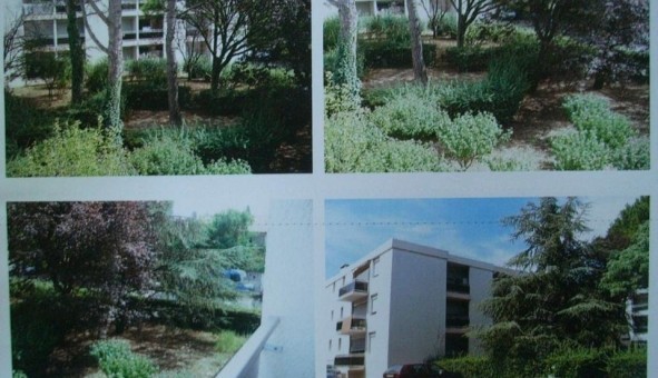 Logement �tudiant Studio &agrave; Montpellier (34080)