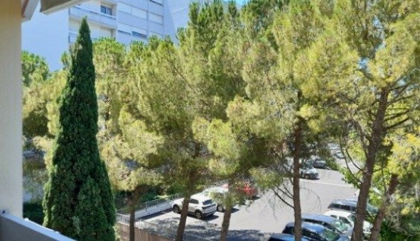 Logement �tudiant Studio &agrave; Montpellier (34080)