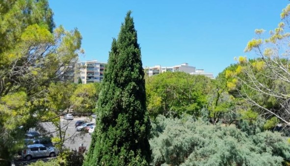 Logement �tudiant Studio &agrave; Montpellier (34080)