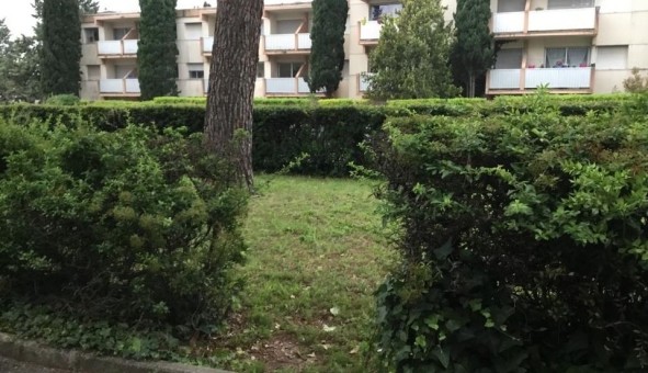 Logement �tudiant Studio &agrave; Montpellier (34080)