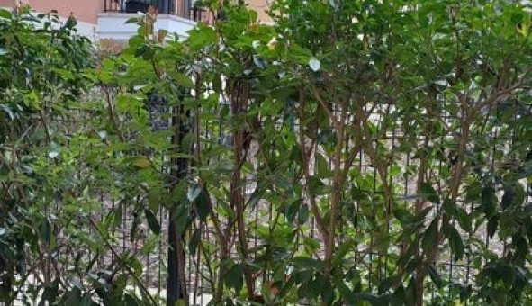 Logement �tudiant Studio &agrave; Morainvilliers (78630)