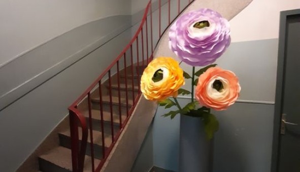 Logement �tudiant Studio &agrave; Mulhouse (68100)