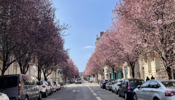 Logement �tudiant Studio &agrave; Nancy (54100)