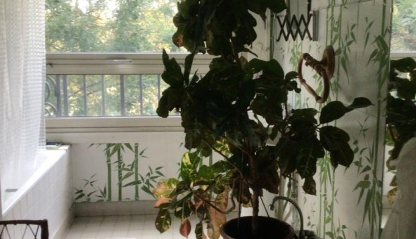 Logement �tudiant Studio &agrave; Neuilly sur Seine (92200)