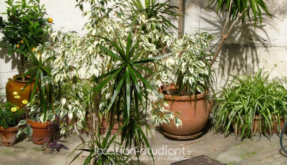 Logement tudiant Studio à Nice (06100)