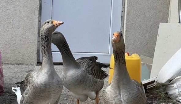 Logement tudiant Studio à Nice (06100)