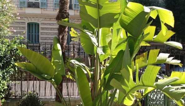 Logement tudiant Studio à Nice (06100)