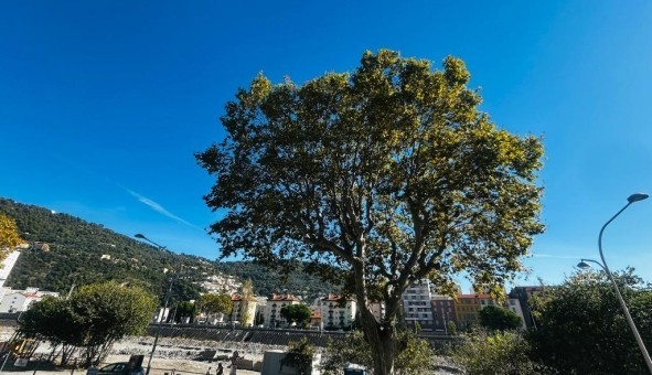 Logement �tudiant Studio &agrave; Nice (06100)